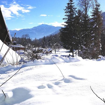 Haus Branol Daire Hermagor-Pressegger See Dış mekan fotoğraf